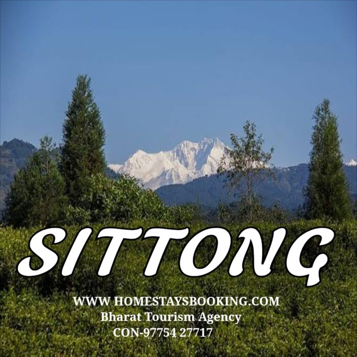 Sittong